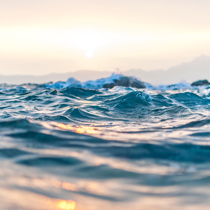 THE TRUE SIDE EFFECTS OF PLASTIC IN OUR OCEANS AND WHAT YOU CAN DO TO CURB THEM