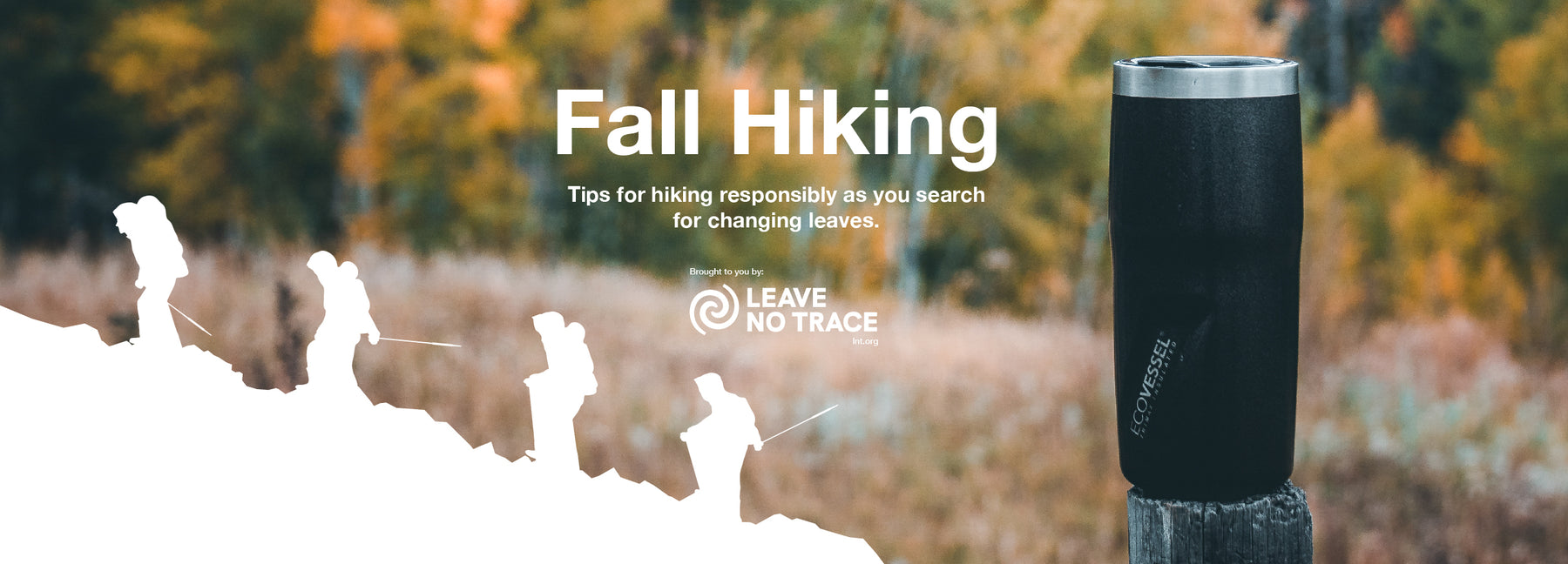 Leaving No Trace: Hiking Tips