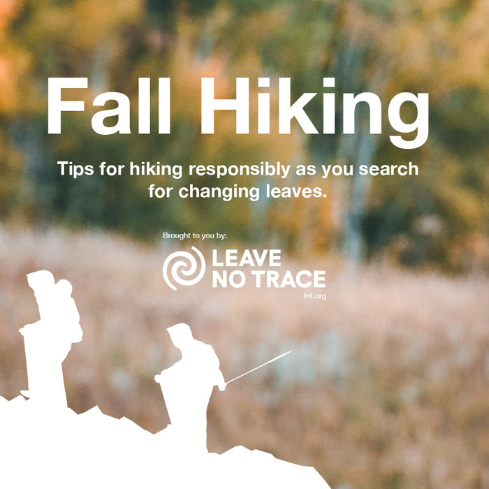 Leaving No Trace: Hiking Tips