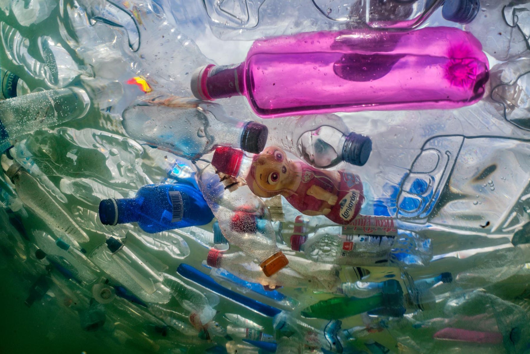Did You know Plastic Can Take Up to 1000 Years To Decompose?
