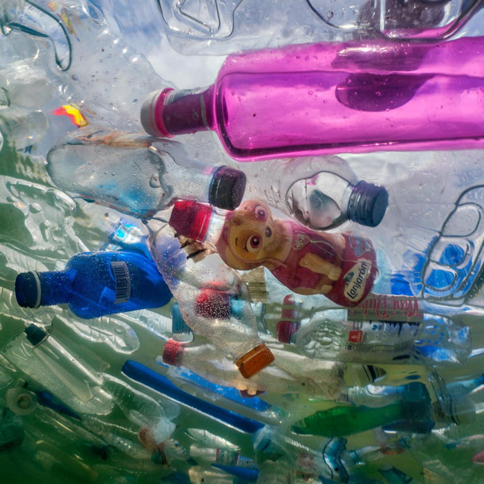 Did You know Plastic Can Take Up to 1000 Years To Decompose?